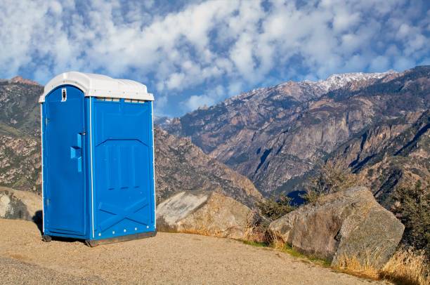 Best Affordable portable toilet rental  in Whitmore Lake, MI